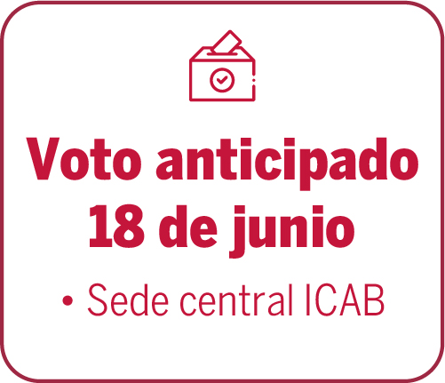 Voto anticipado